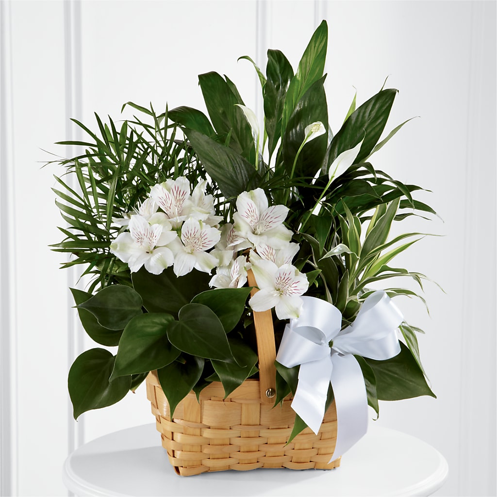 Peace & Serenity Dishgarden – Valley Flower Shoppe, Waverly NY