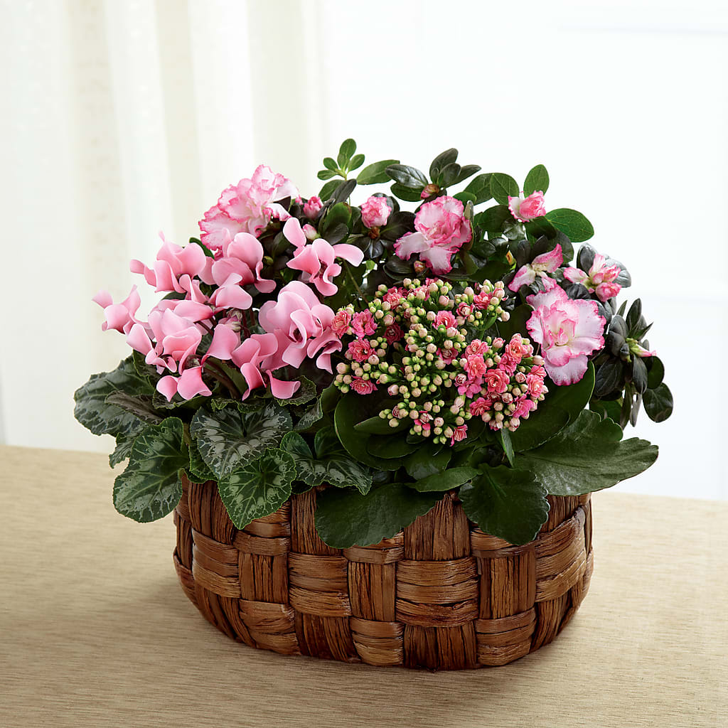 Pink Assortment – Valley Flower Shoppe, Waverly NY