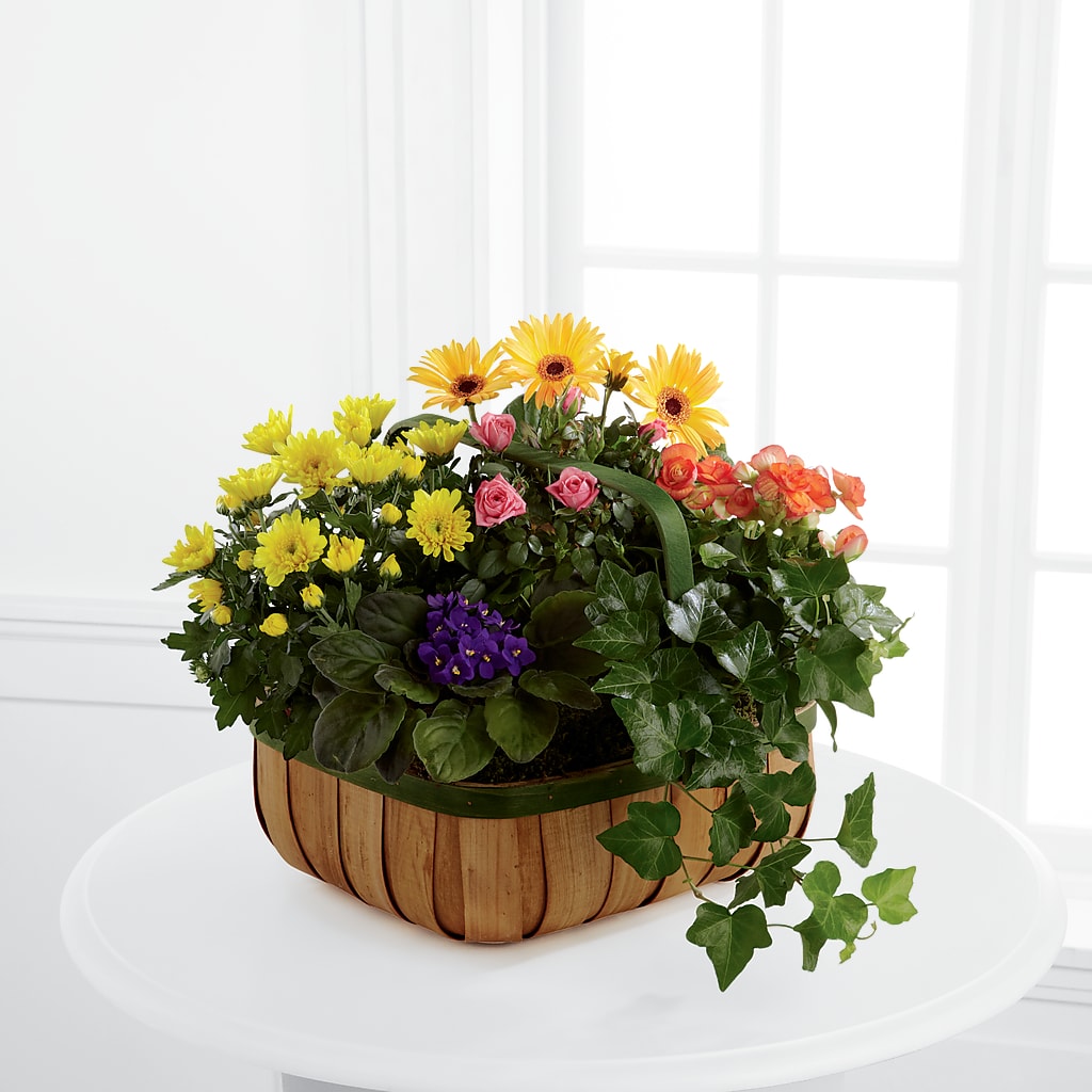 Gentle Blossoms Basket – Valley Flower Shoppe, Waverly NY