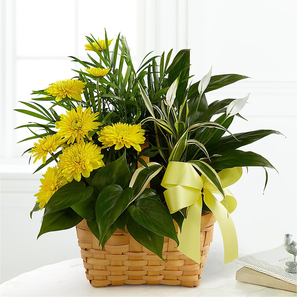 Loving Light Dishgarden – Valley Flower Shoppe, Waverly NY