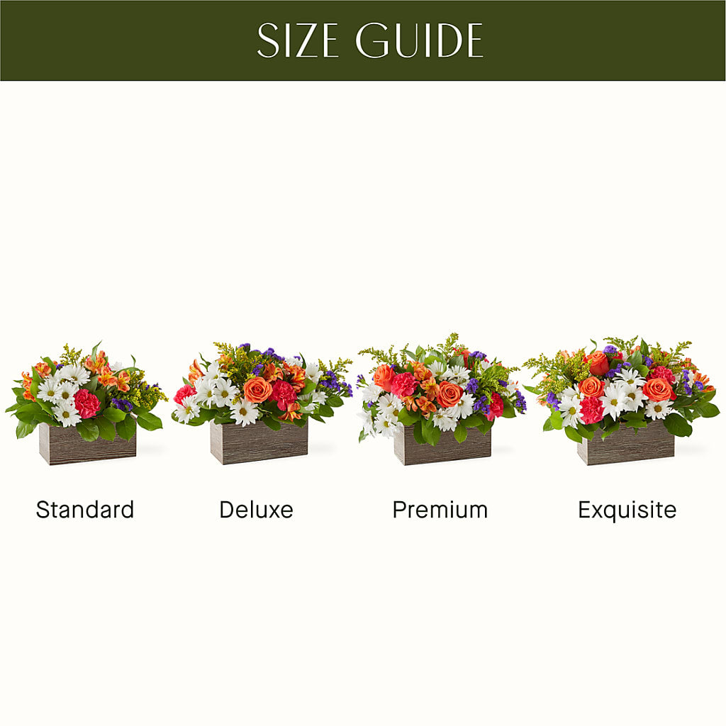 Oopsie Daisy Box Bouquet – Valley Flower Shoppe, Waverly NY