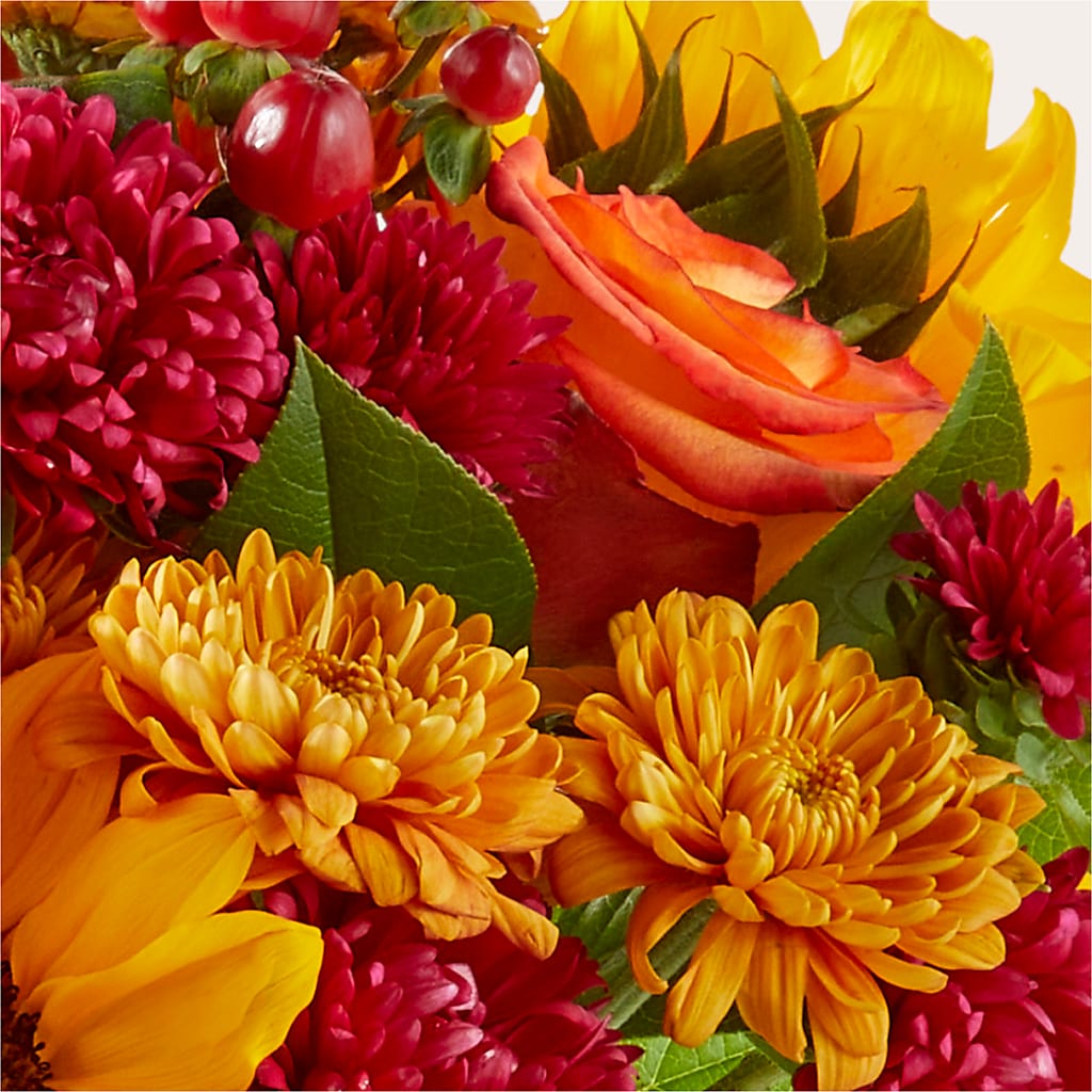 Sweater Season - A Florist Original – Valley Flower Shoppe, Waverly NY