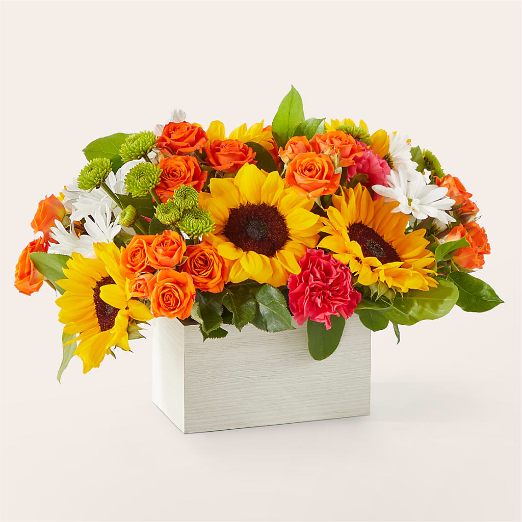 Sun-drenched Blooms Box Bouquet – Valley Flower Shoppe, Waverly NY