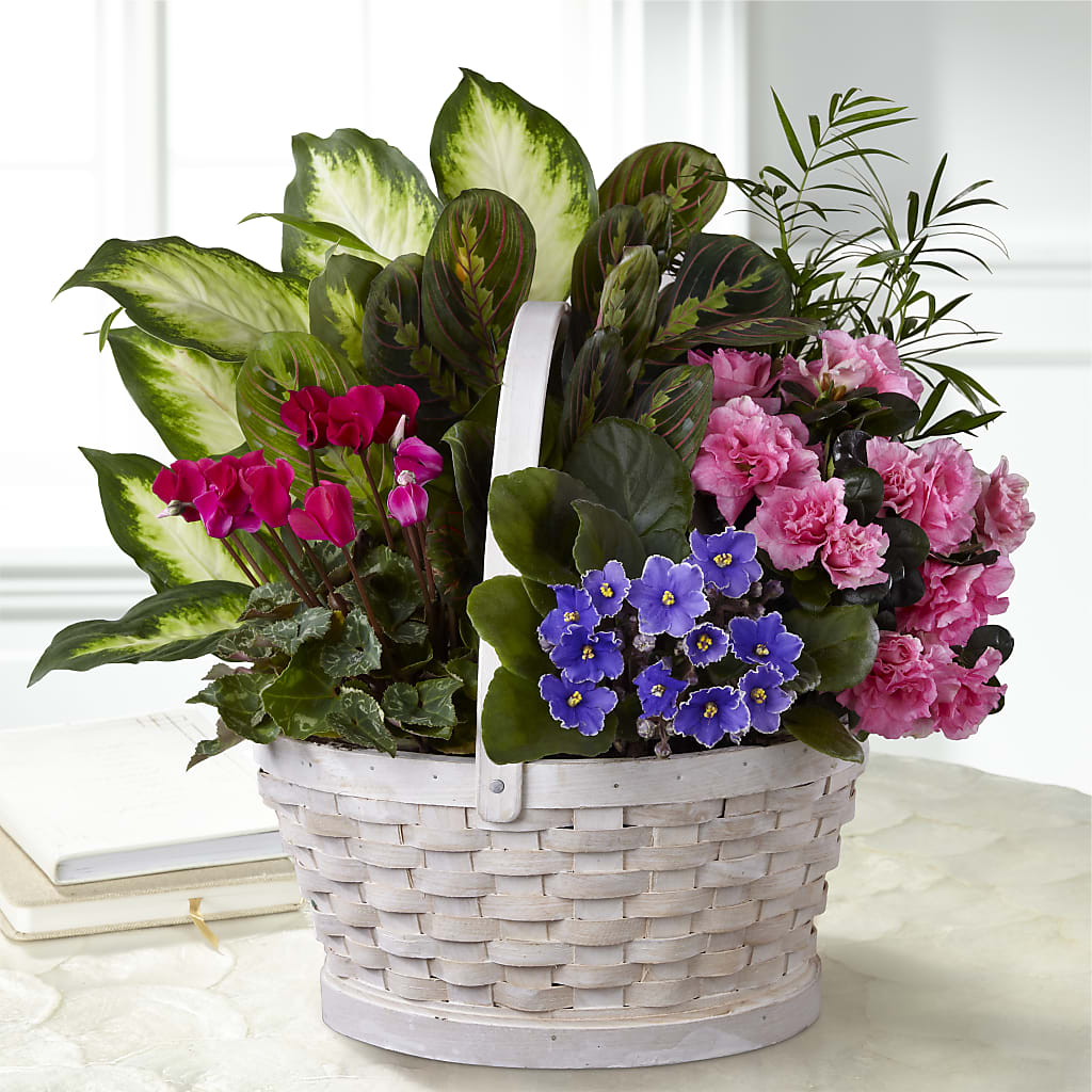 Peaceful Garden Planter – Valley Flower Shoppe, Waverly NY
