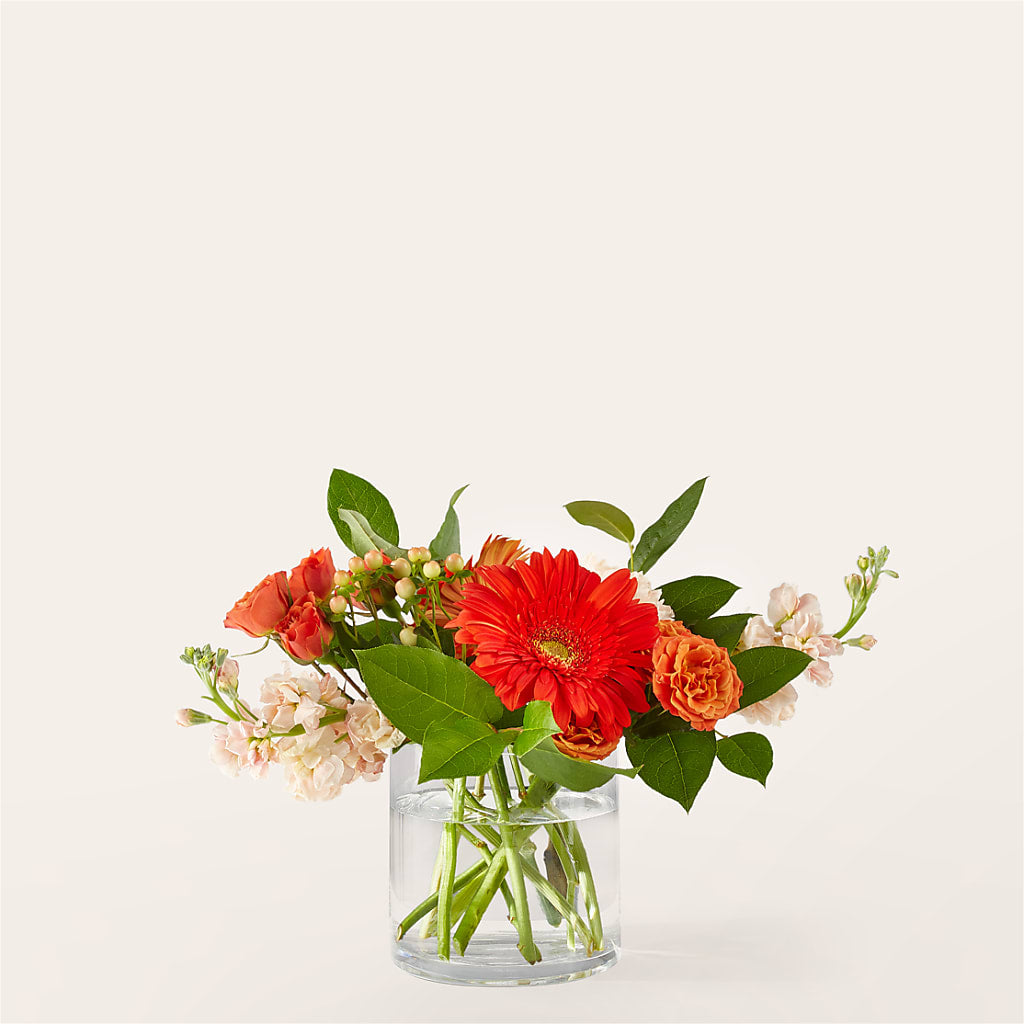 Paloma Please Bouquet – Valley Flower Shoppe, Waverly NY