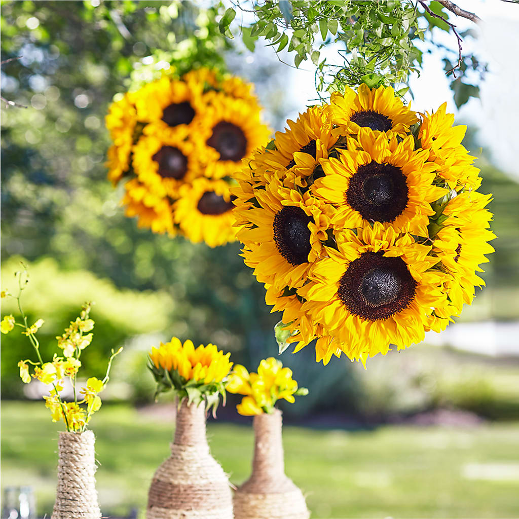 Sublime Garden Hanging Arrangement – Valley Flower Shoppe, Waverly NY