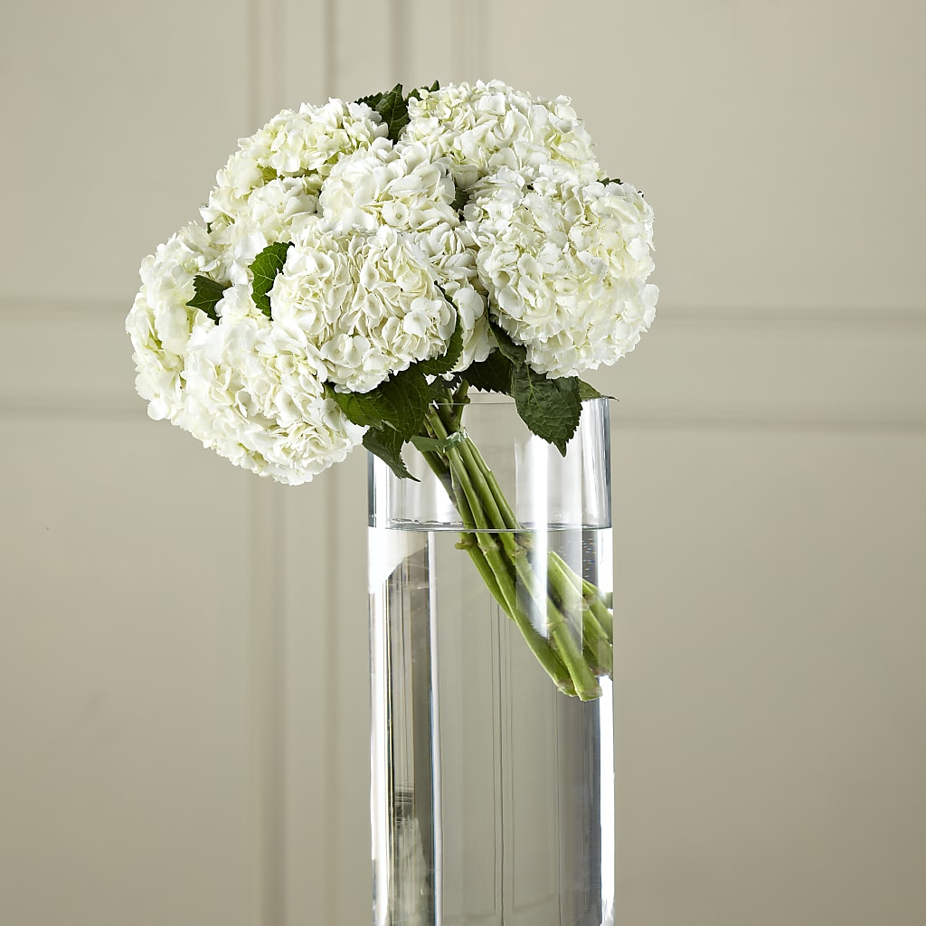 White Hydrangea Hand-Tied Bouquet – Valley Flower Shoppe, Waverly NY