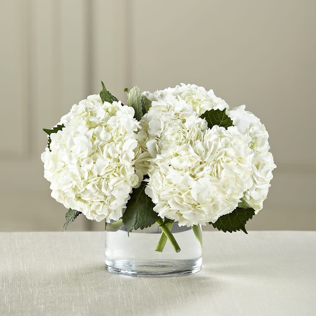 White Hydrangea Bouquet – Valley Flower Shoppe, Waverly NY
