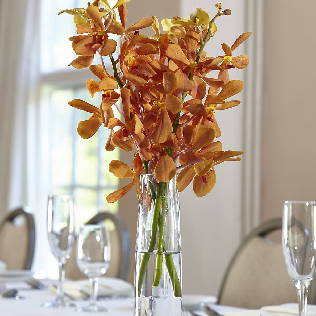 Orange Mokara Bud Vase – Valley Flower Shoppe, Waverly NY