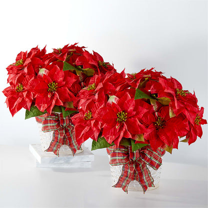 Happiest Holidays Poinsettia Bundle –  Valley Flower Shoppe, Waverly NY