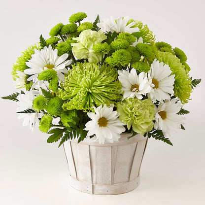 Lucky Charm Basket (Standard) –  Valley Flower Shoppe, Waverly NY