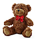 Adorable Plush Bear –  Valley Flower Shoppe, Waverly NY