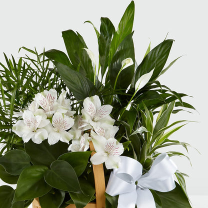 Peace & Serenity Dishgarden –  Valley Flower Shoppe, Waverly NY