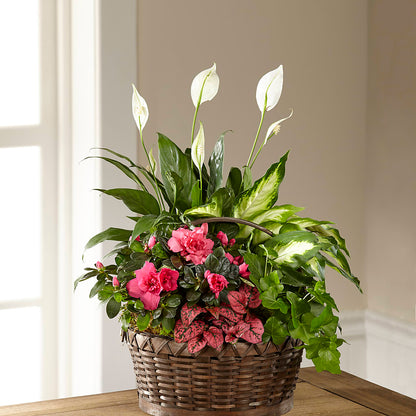Dream in Pink Dishgarden –  Valley Flower Shoppe, Waverly NY