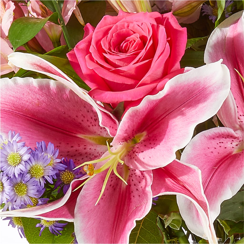 Written in the Stars Bouquet –  Valley Flower Shoppe, Waverly NY