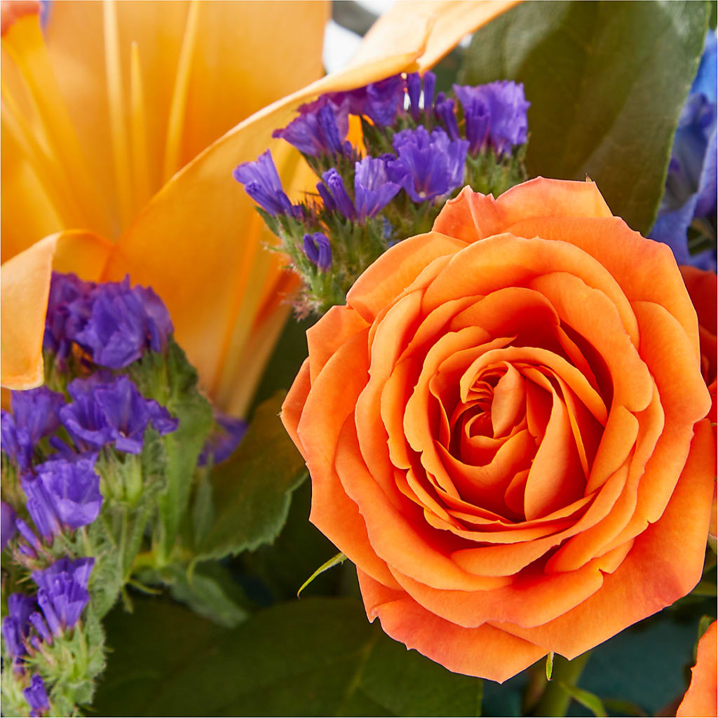 Radiant Citrus Box Bouquet –  Valley Flower Shoppe, Waverly NY