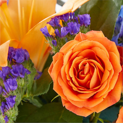 Radiant Citrus Box Bouquet –  Valley Flower Shoppe, Waverly NY
