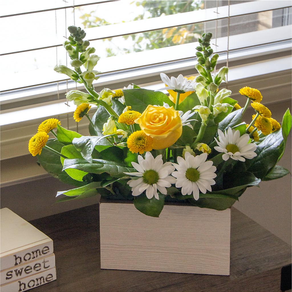 Sun Salutation Box Bouquet –  Valley Flower Shoppe, Waverly NY