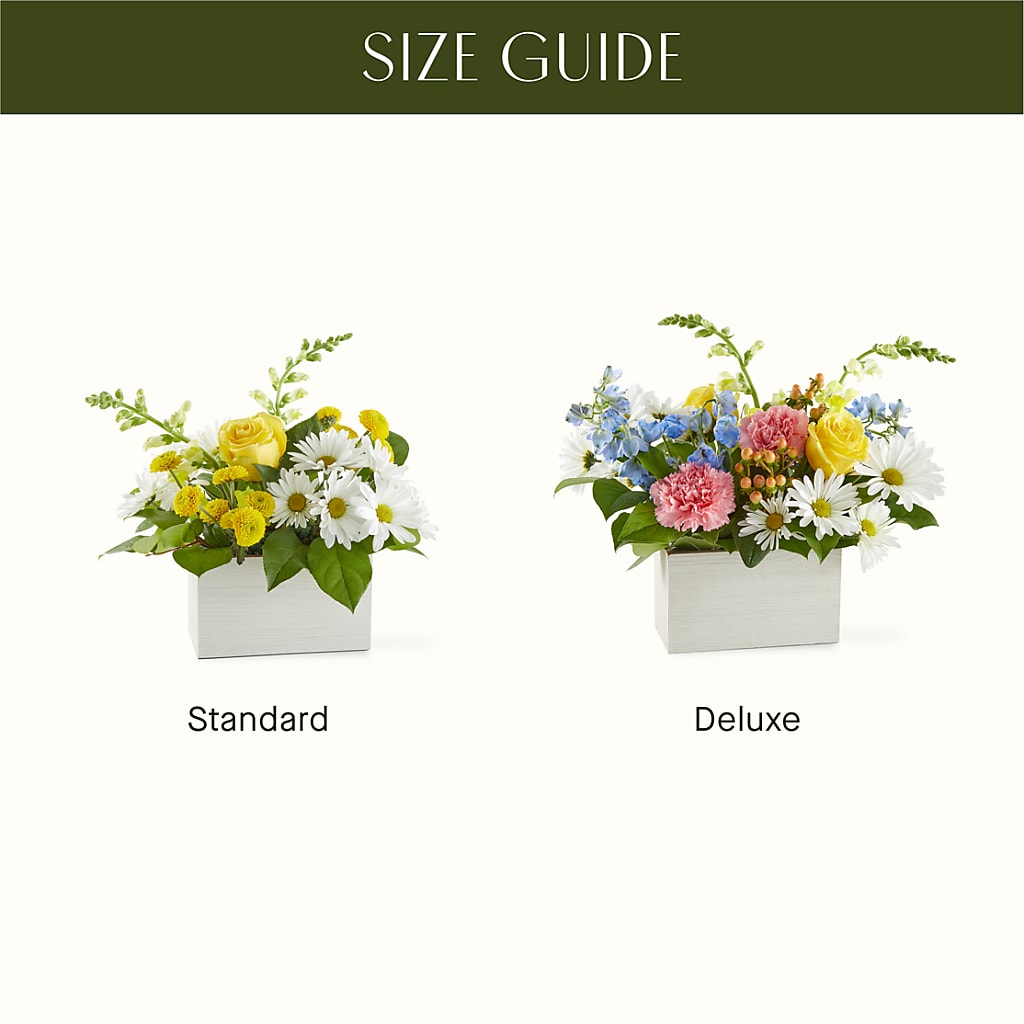 Sun Salutation Box Bouquet –  Valley Flower Shoppe, Waverly NY