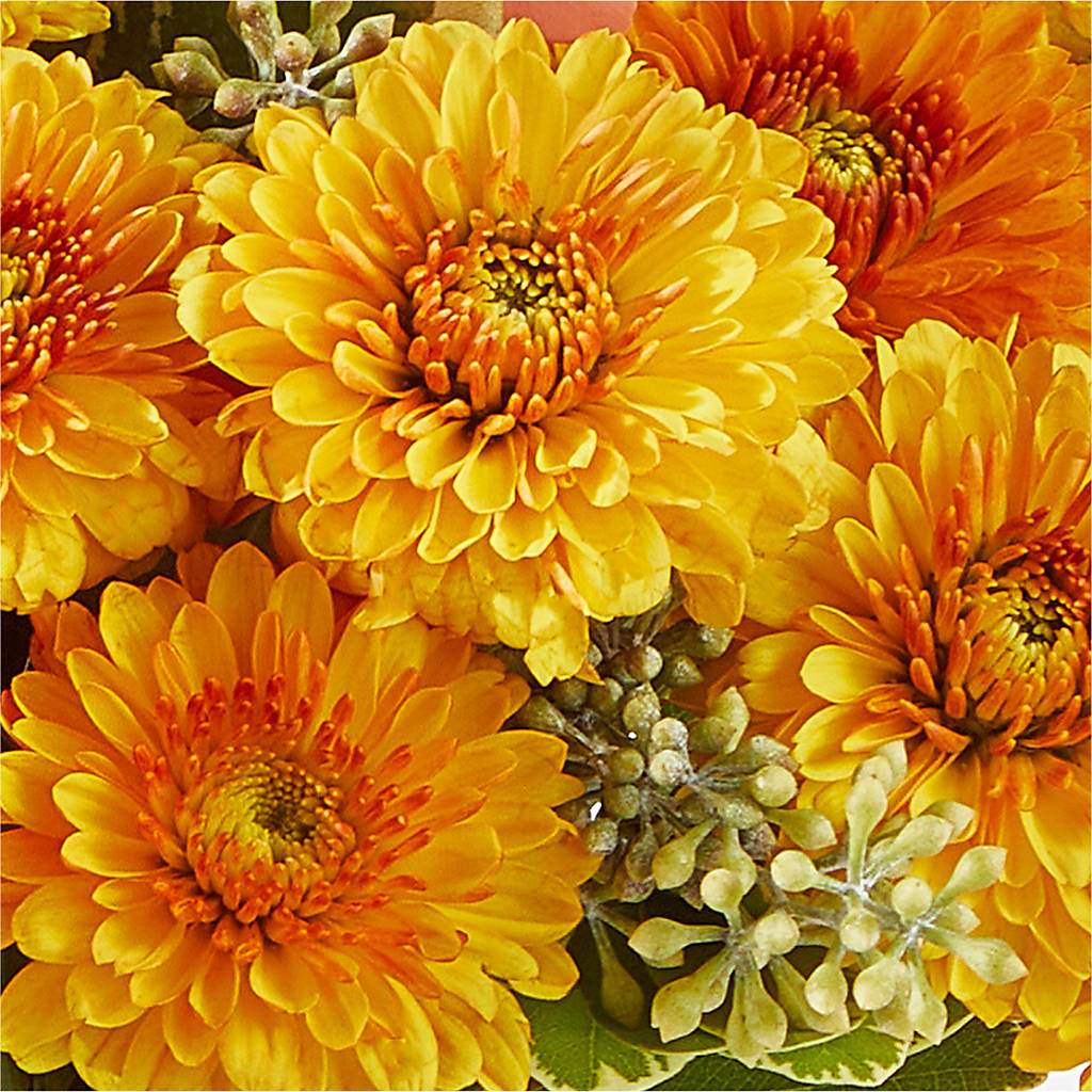 Peachy Pumpkin –  Valley Flower Shoppe, Waverly NY