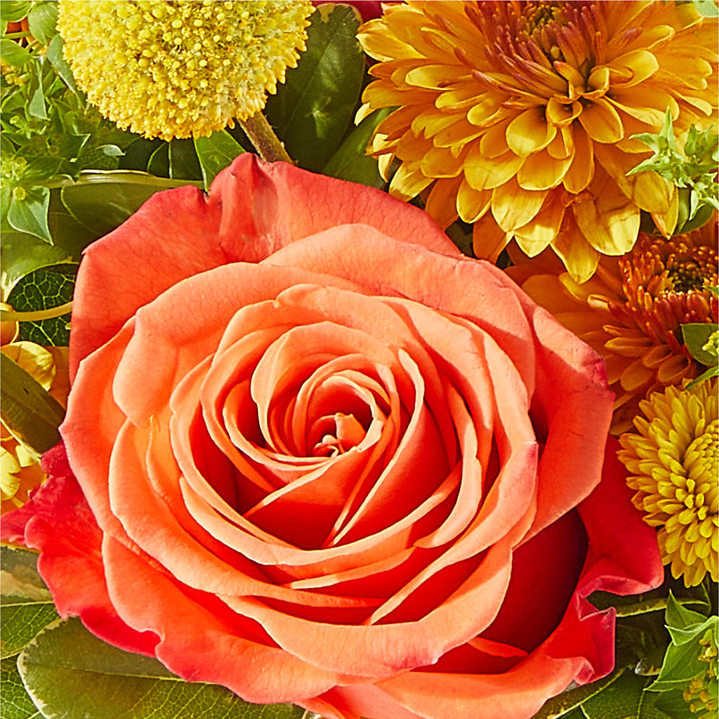 Gourdgeous Pumpkin –  Valley Flower Shoppe, Waverly NY