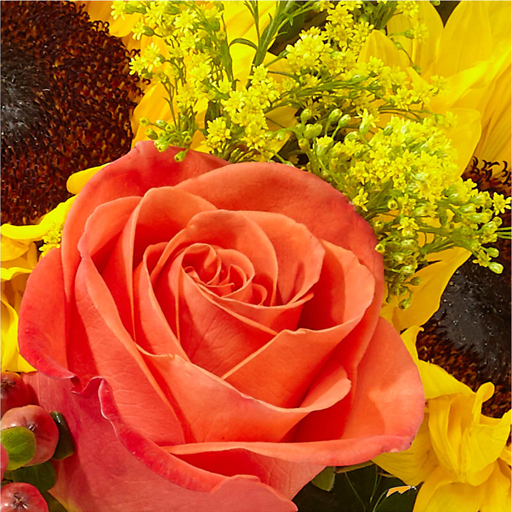 Pick of the Patch Pumpkin Bouquet –  Valley Flower Shoppe, Waverly NY
