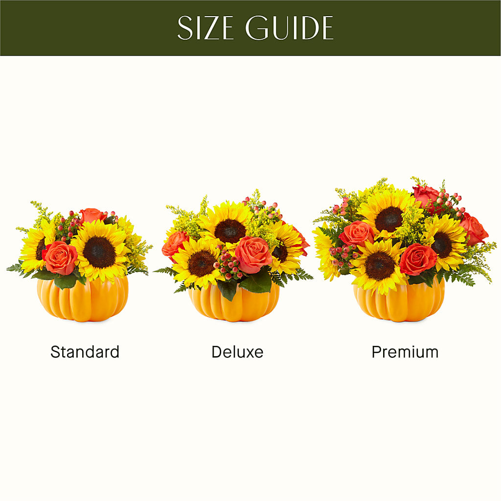 Pick of the Patch Pumpkin Bouquet –  Valley Flower Shoppe, Waverly NY