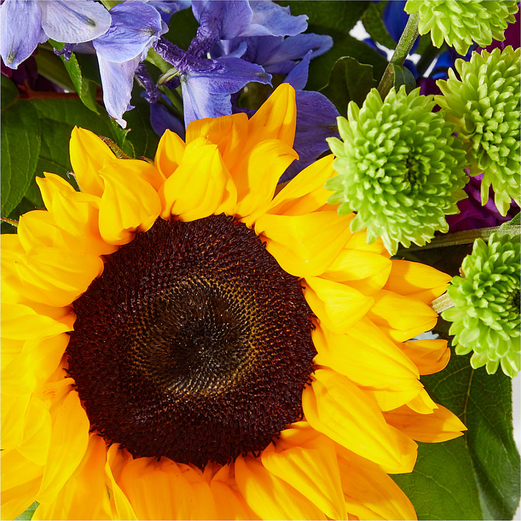 Catching Rays Bouquet –  Valley Flower Shoppe, Waverly NY