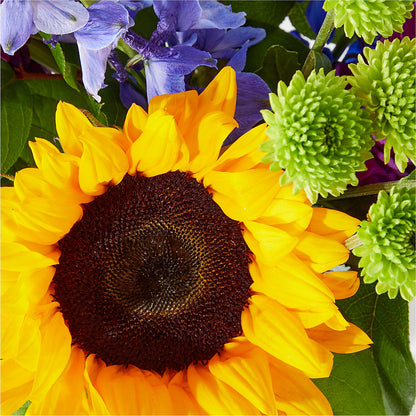 Catching Rays Bouquet –  Valley Flower Shoppe, Waverly NY