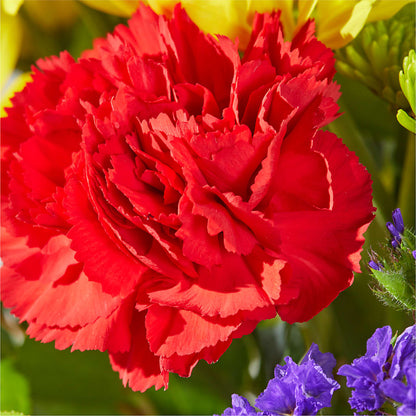 Brighter Days Bouquet –  Valley Flower Shoppe, Waverly NY
