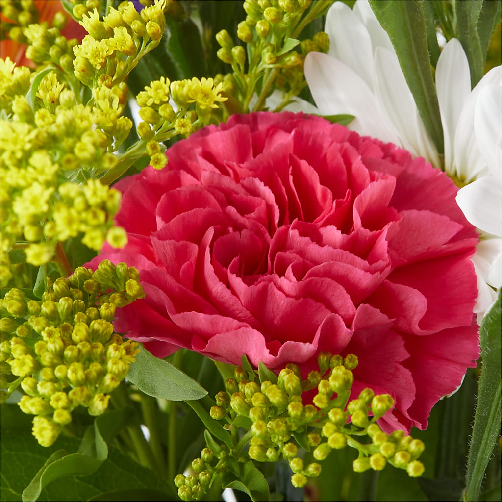 Oopsie Daisy Bouquet –  Valley Flower Shoppe, Waverly NY