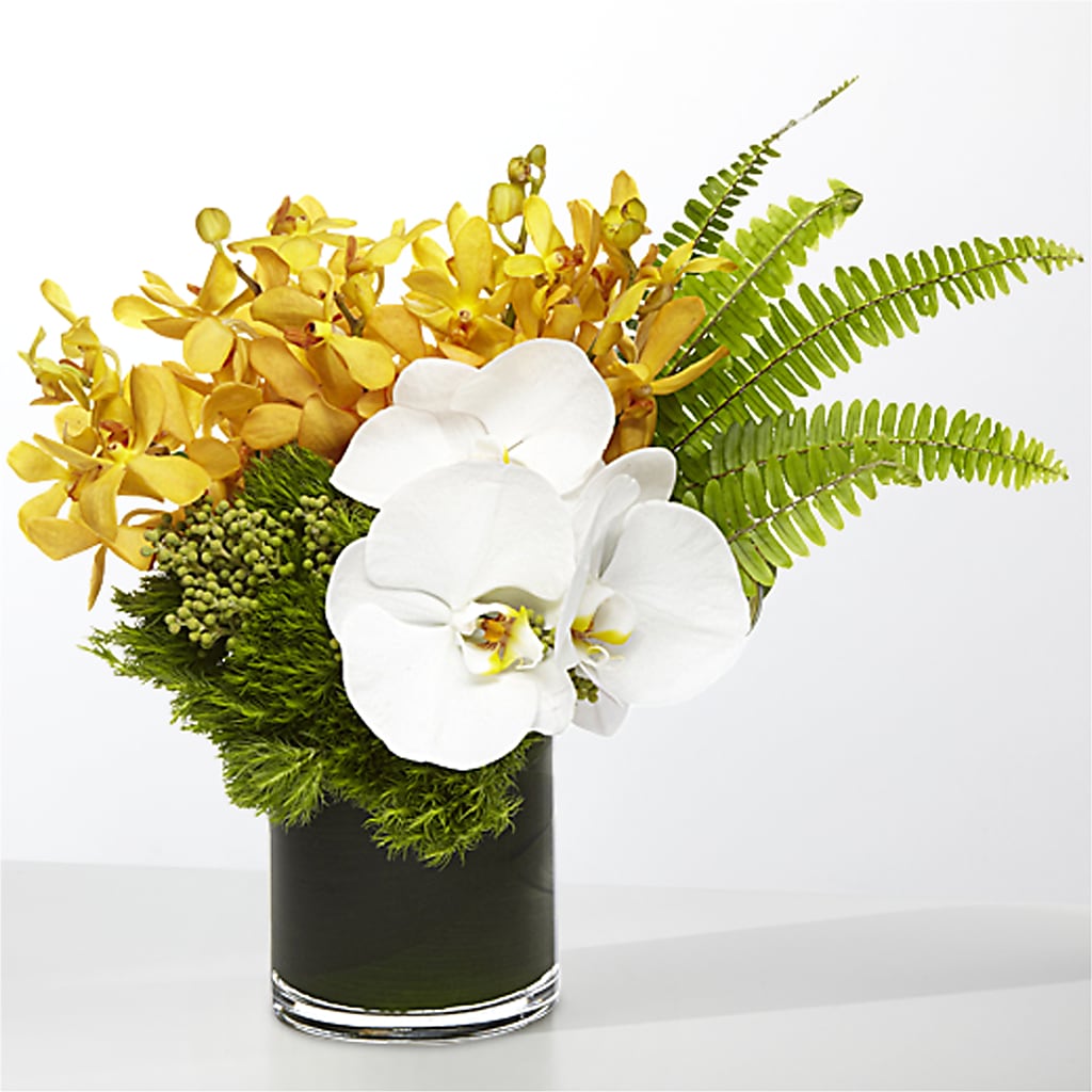 The Tropics –  Valley Flower Shoppe, Waverly NY