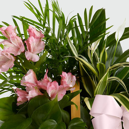 Living Spirit Dishgarden –  Valley Flower Shoppe, Waverly NY