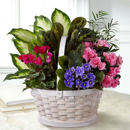 Peaceful Garden Planter –  Valley Flower Shoppe, Waverly NY