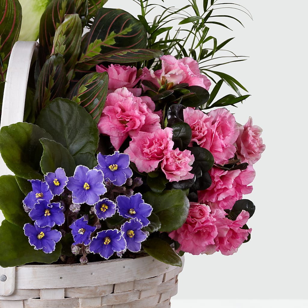 Peaceful Garden Planter –  Valley Flower Shoppe, Waverly NY