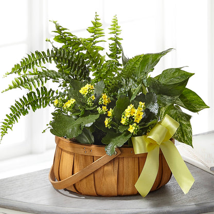 Always Dear Dishgarden –  Valley Flower Shoppe, Waverly NY