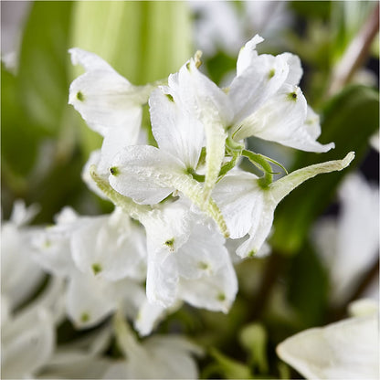 Classic Ivory – A Florist Original –  Valley Flower Shoppe, Waverly NY