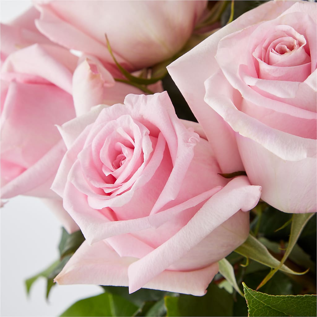 Picture Perfect Pink Rose Bouquet –  Valley Flower Shoppe, Waverly NY
