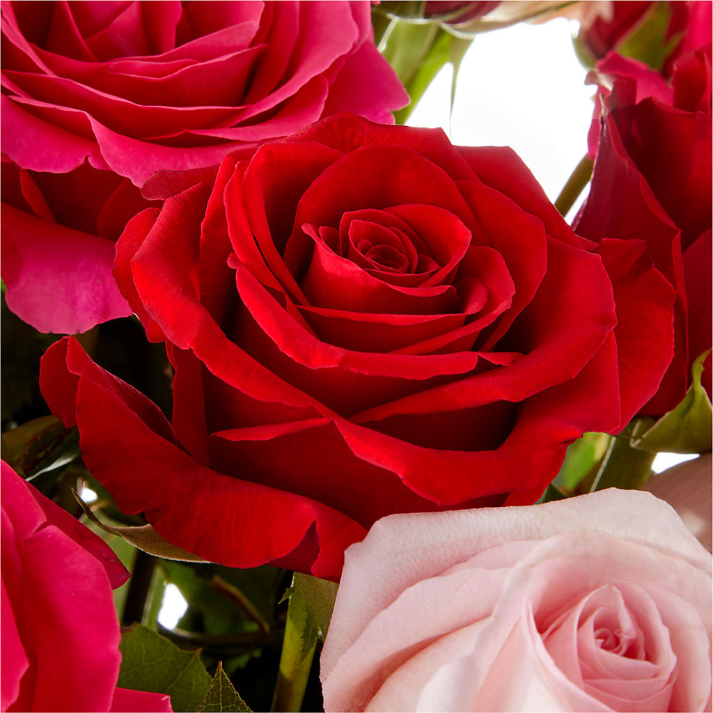 Love Notes Rose Bouquet –  Valley Flower Shoppe, Waverly NY