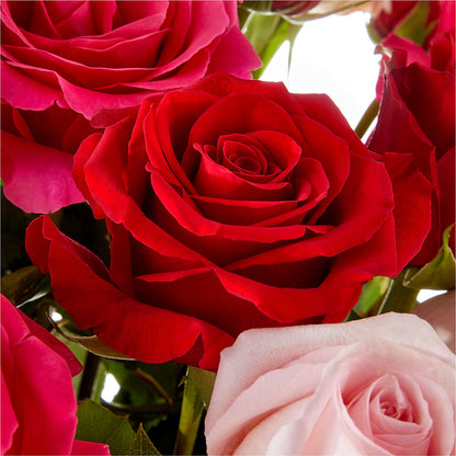 Love Notes Rose Bouquet –  Valley Flower Shoppe, Waverly NY