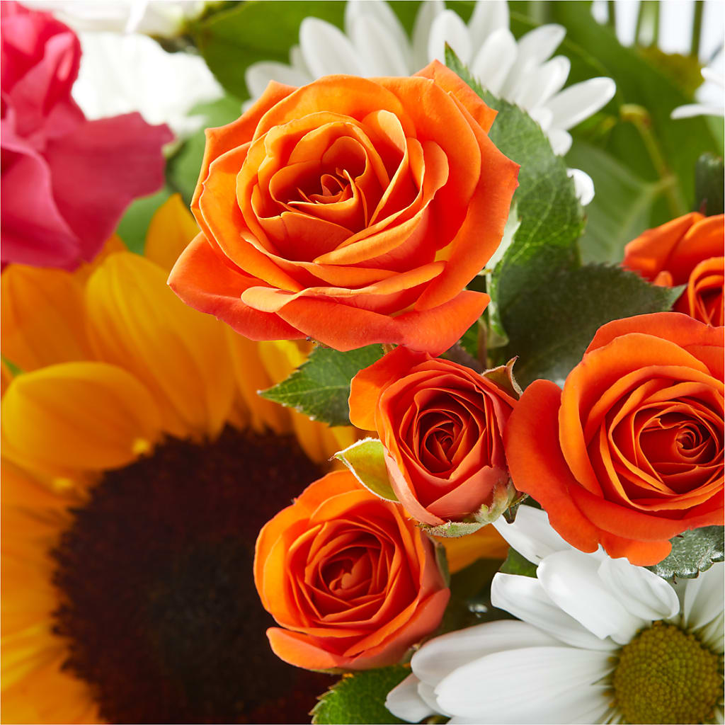Sun-drenched Blooms Bouquet –  Valley Flower Shoppe, Waverly NY