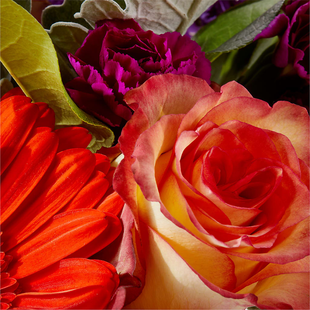 Sangria Bouquet –  Valley Flower Shoppe, Waverly NY