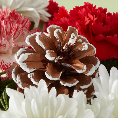Candy Cane Lane Bouquet –  Valley Flower Shoppe, Waverly NY