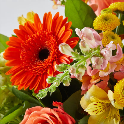 Autumn Sunshine Bouquet –  Valley Flower Shoppe, Waverly NY