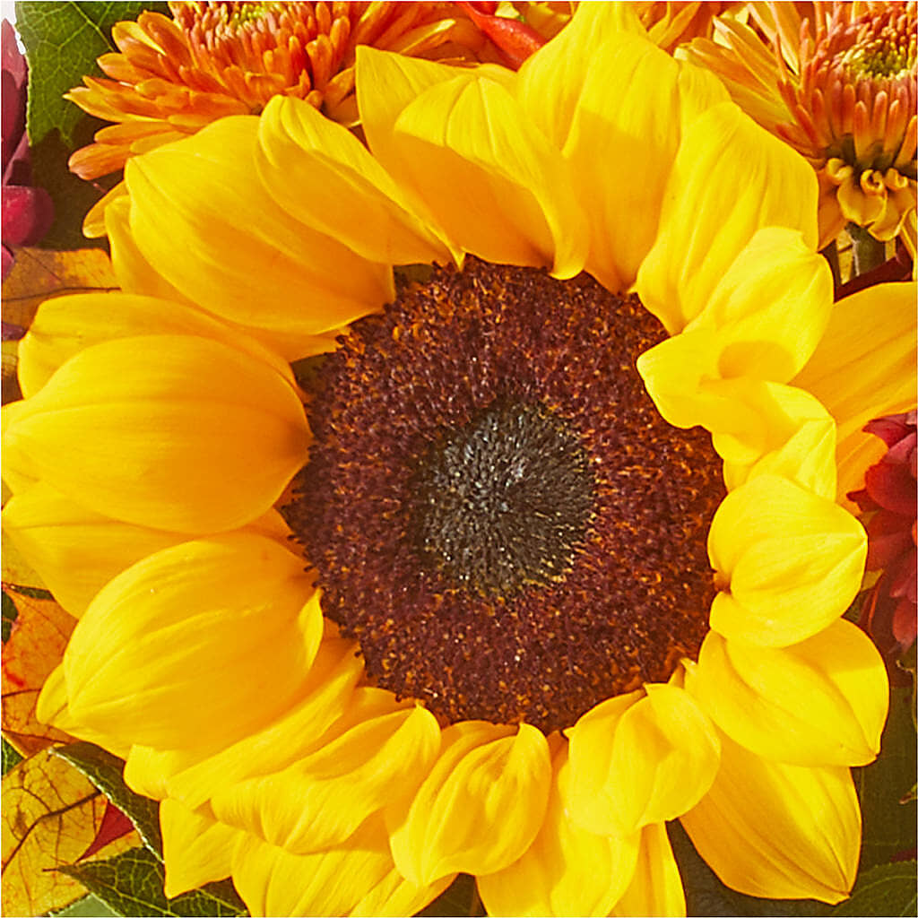 Sunny Side Bouquet –  Valley Flower Shoppe, Waverly NY