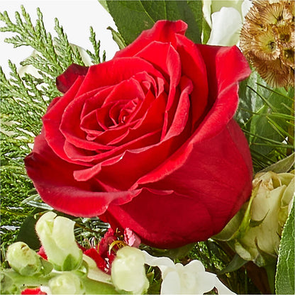 Deck the Halls Bouquet –  Valley Flower Shoppe, Waverly NY