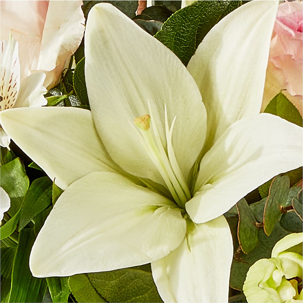 Ballet Slippers Bouquet –  Valley Flower Shoppe, Waverly NY