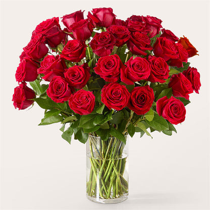 The One Red Rose Bouquet –  Valley Flower Shoppe, Waverly NY