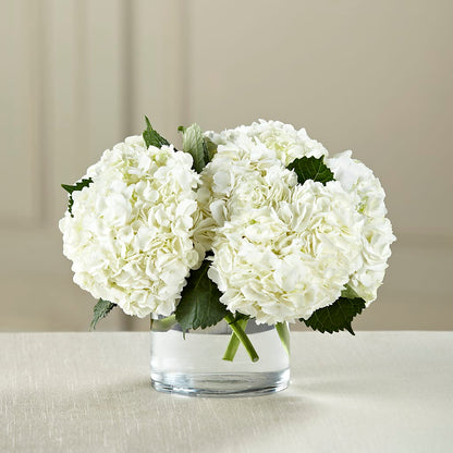 White Hydrangea Bouquet –  Valley Flower Shoppe, Waverly NY