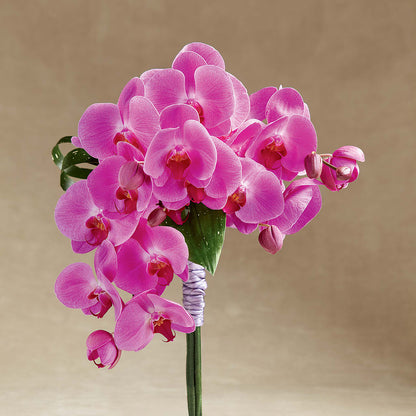 Glorious Bouquet –  Valley Flower Shoppe, Waverly NY